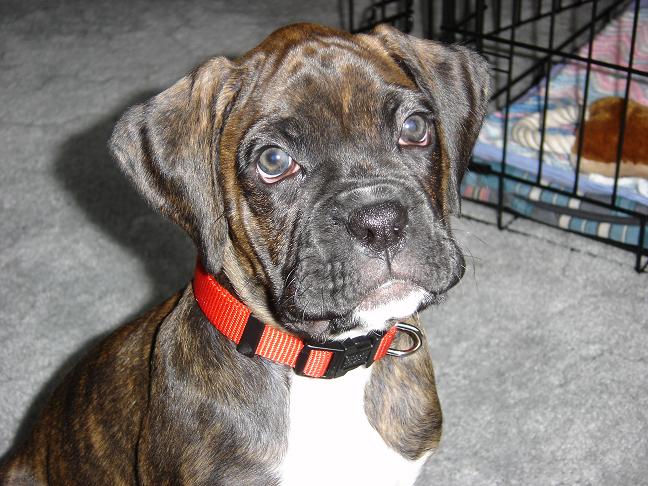 What a Face!