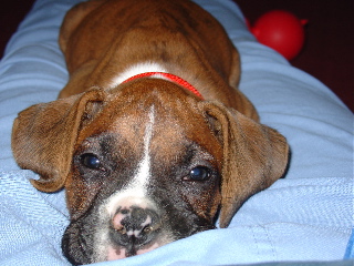 What a face!
