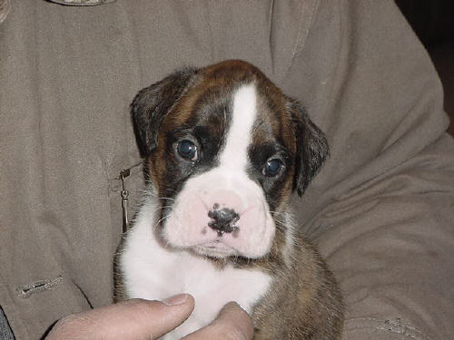 What a face