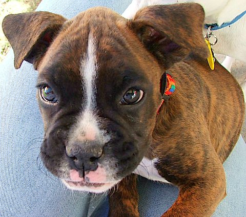 What a face
