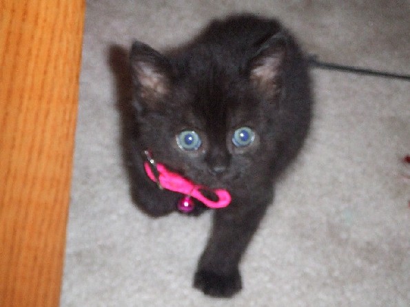 What a face!