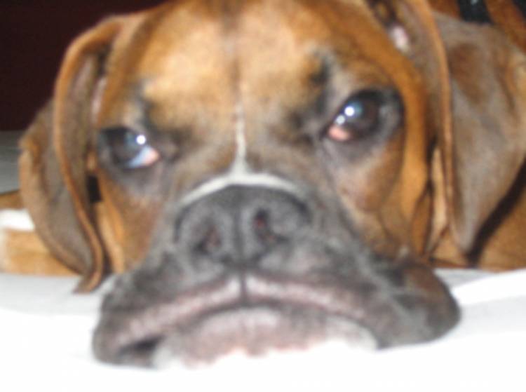 what a face