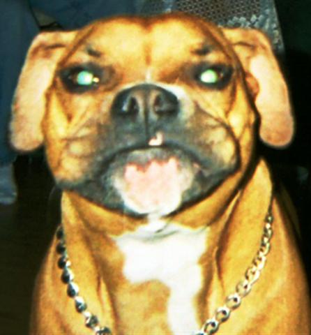 What a face!