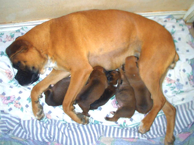 what a good mommy