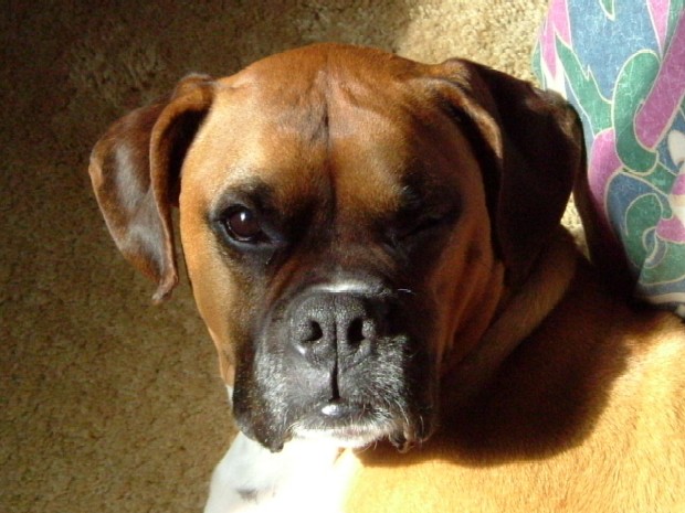 What a ham!!!
