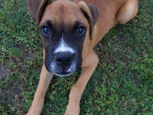 What a handsome fella!