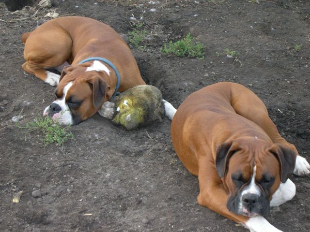 What A Hard Day!!!!