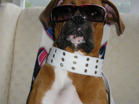 What A Hottie!