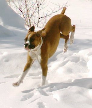 What a jump