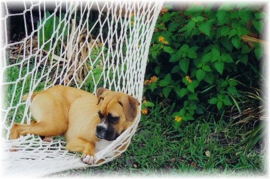What a life!