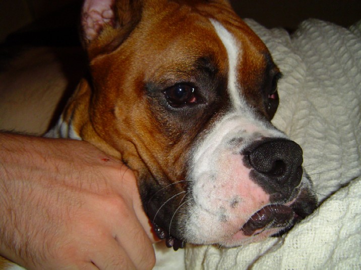 What a pouter!