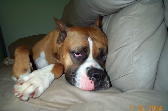 What a rough day!