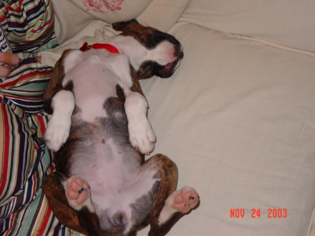 What a rough life!