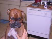 What a smart dog I am