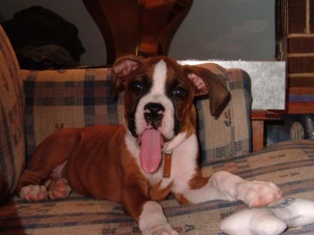 What a tongue