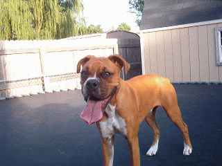 What a tongue!!!