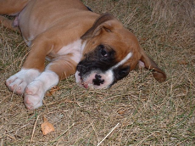 What a tough life !