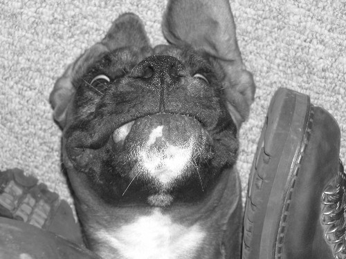 What a Weirdo