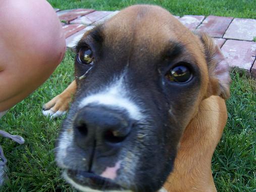 What about my ears????