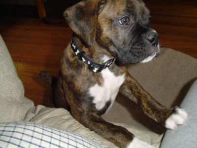 what am I missing out on!