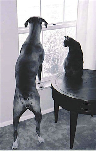 What are we looking at?