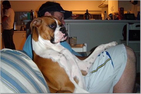 What are we watching Daddy?