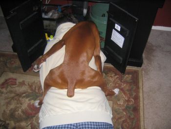 What are you doing dad?