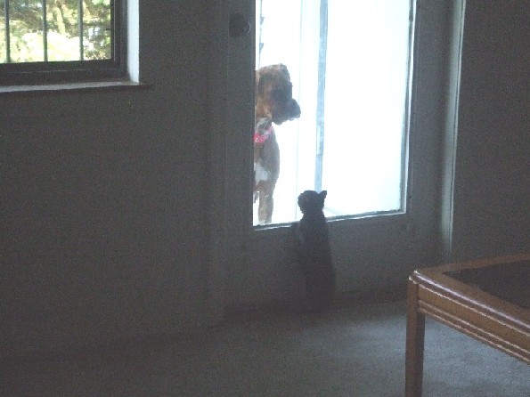 What are you doing out there?