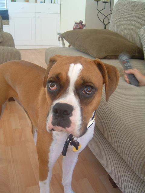 What are you lookin' at?