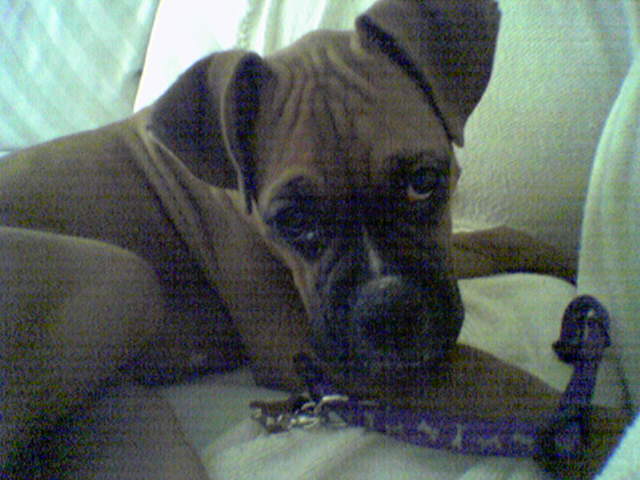 What are you looking at?