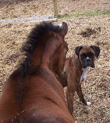 "What are you looking at"