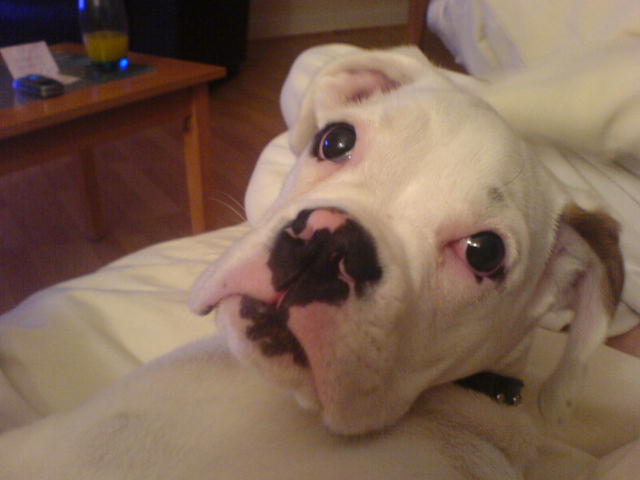 what are you looking at
