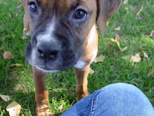 What big eyes you have!