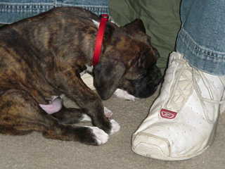 What Big Feet