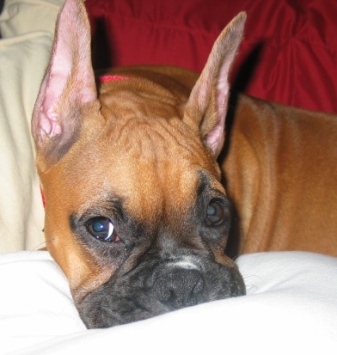 What chu lookin at?