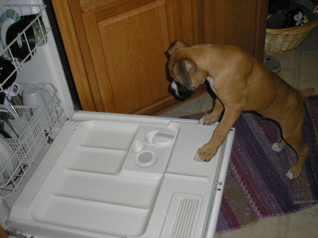 What dishes arent done!! Mommy your grounded!!