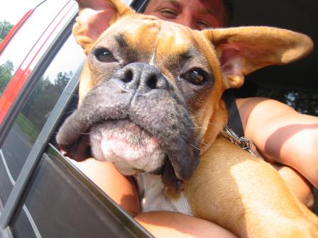 what do u mean i look funny . . .
