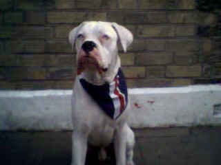 what do u want now??
