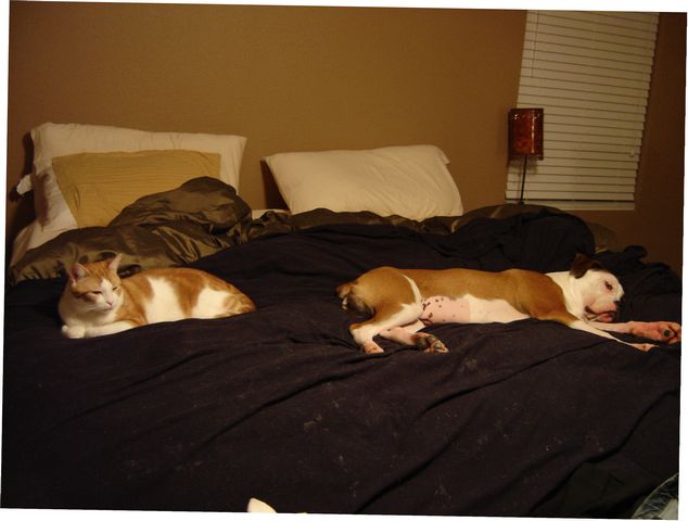 What do you know, another truce...