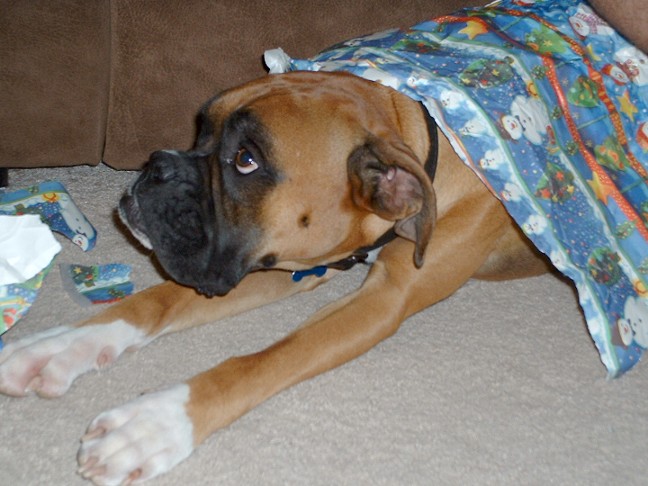 What do you mean 'stop that' ???