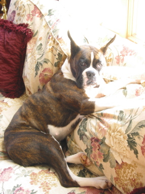 what do you mean this isn't my bed!?