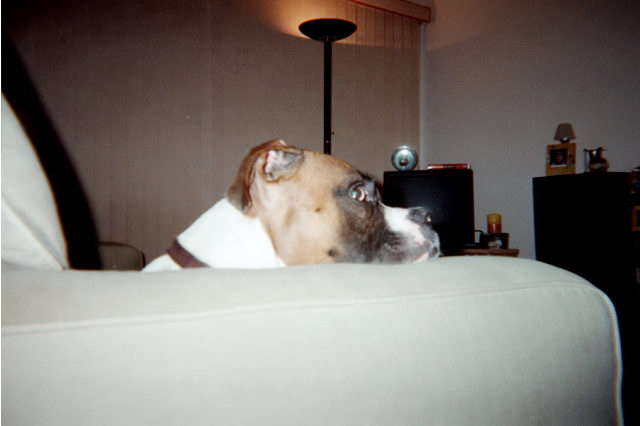 What do you think your doing?