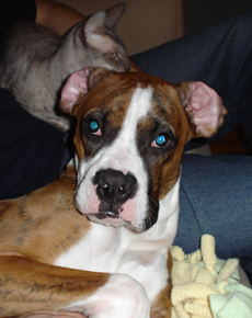 What ears...I have ears!