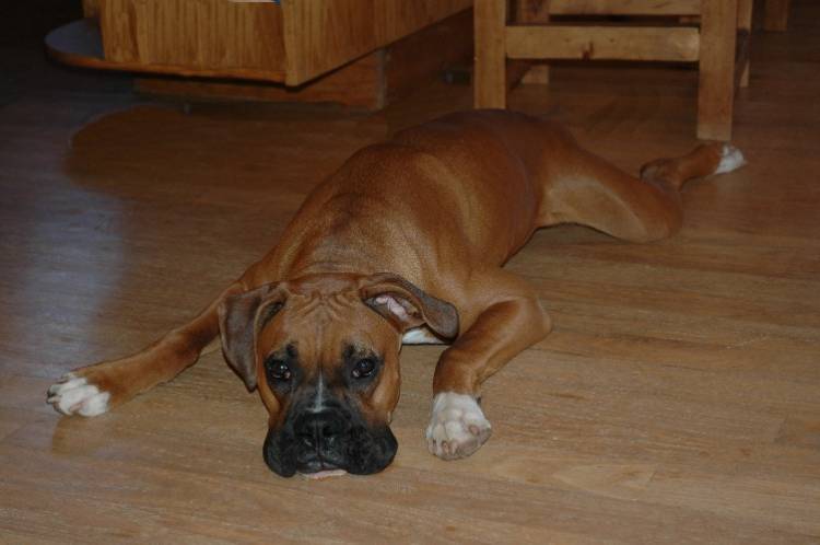 What?  Have you tried to lay this way?