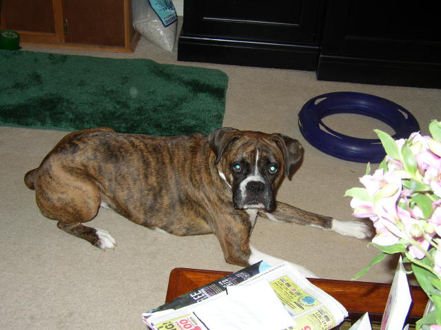 What? I didn't do it.