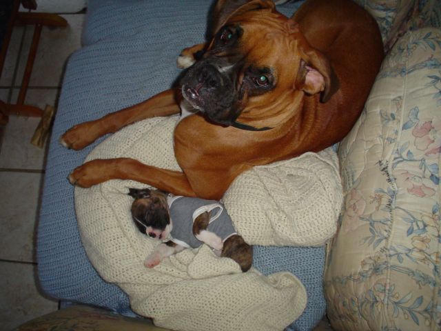 What....I thought I was the baby!!