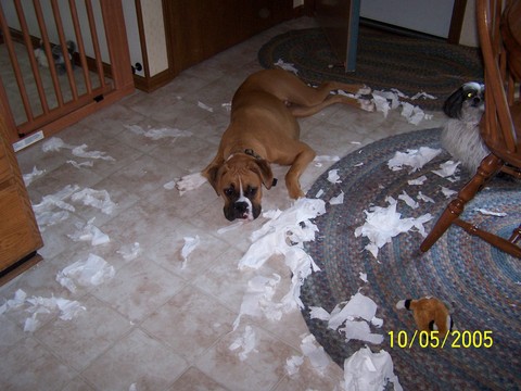 What?  I wasn't doing anything...