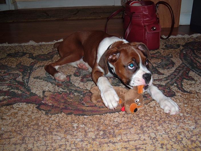 What? I'm just nibbling!