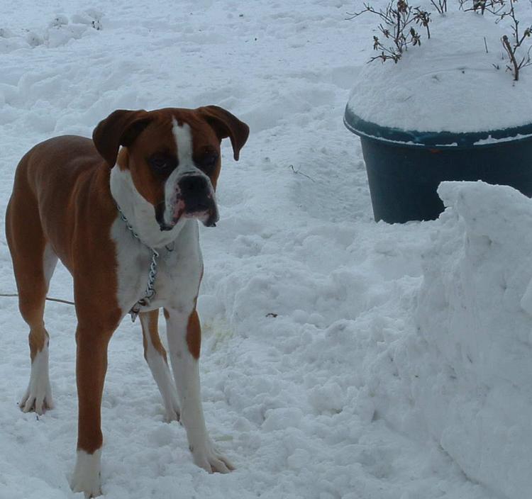 What Is all This Cold Stuff??