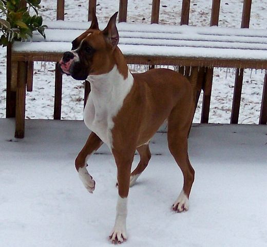 What is all this white stuff around me?
